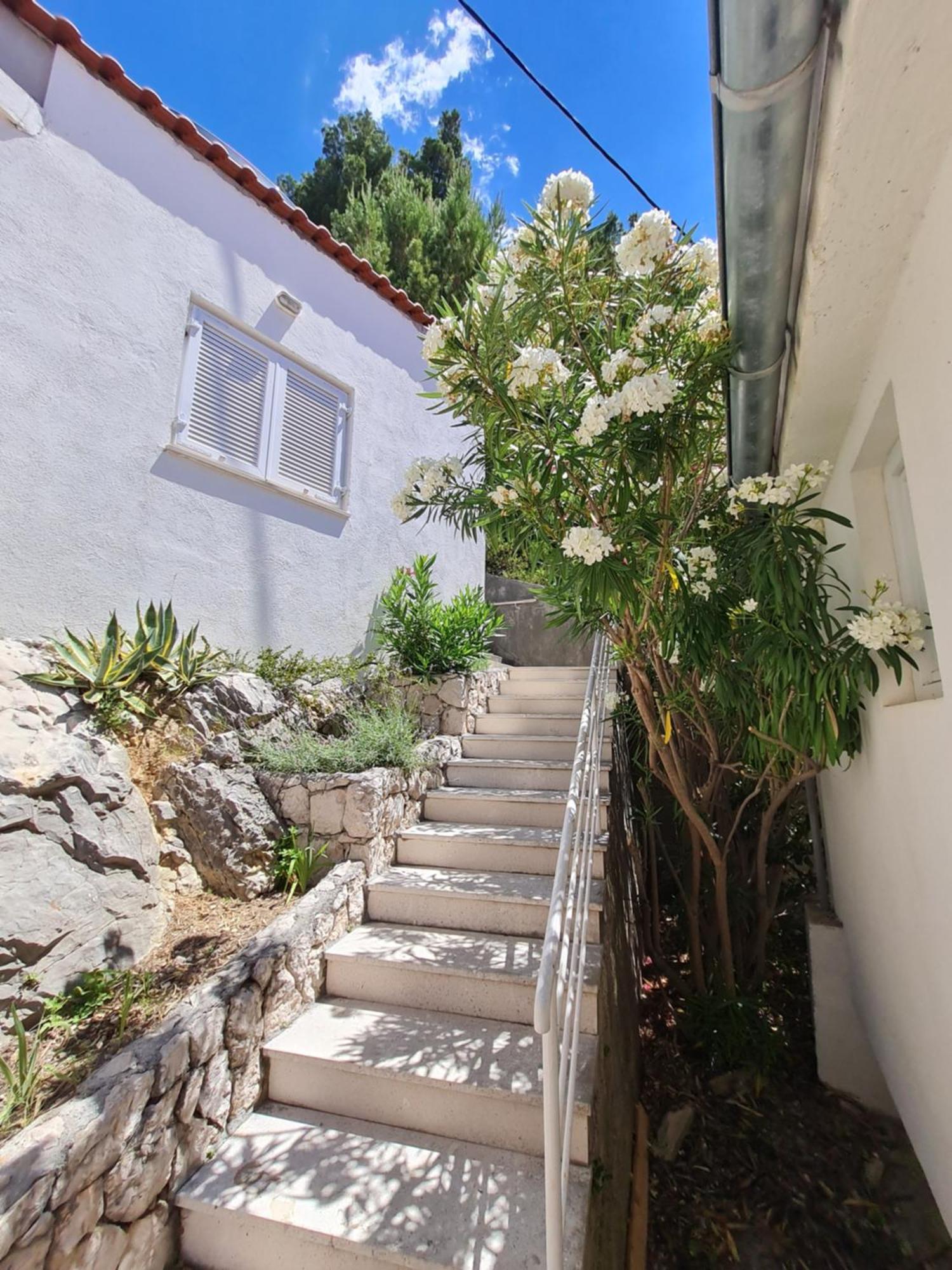 Apartments Apartmani Pintar Mimice Exterior photo